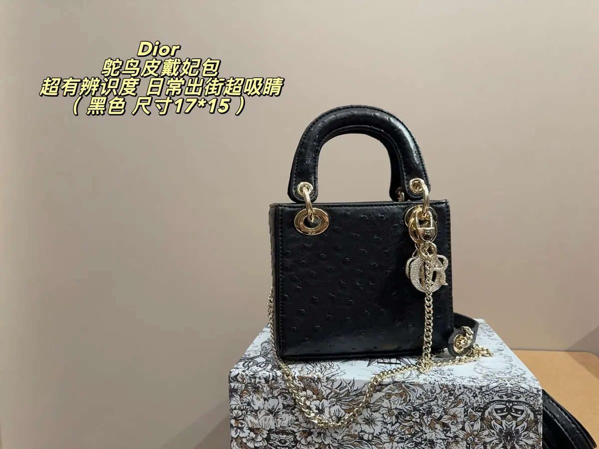 Dior Lady Crossbody Bag — source photograph 1 of 3