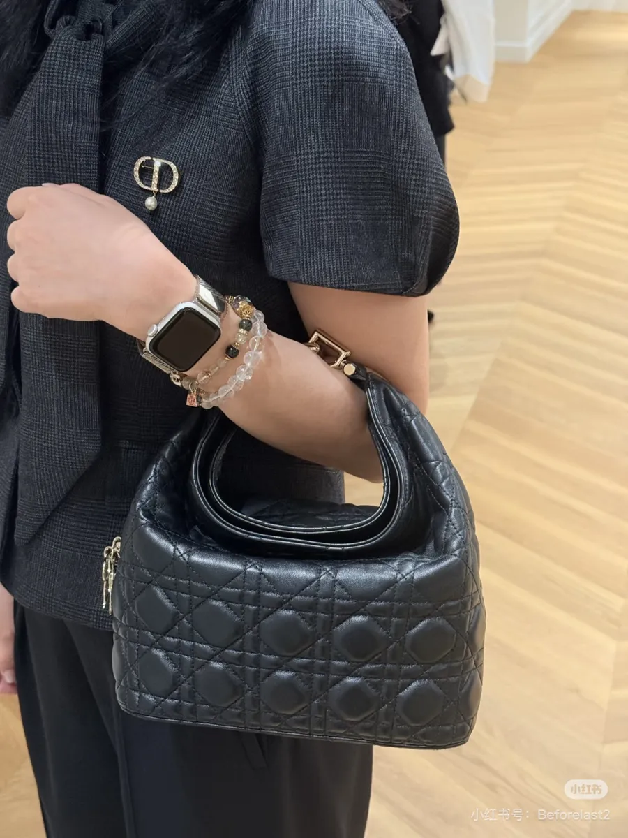Dior Shoulder Bag — source photograph 1 of 3