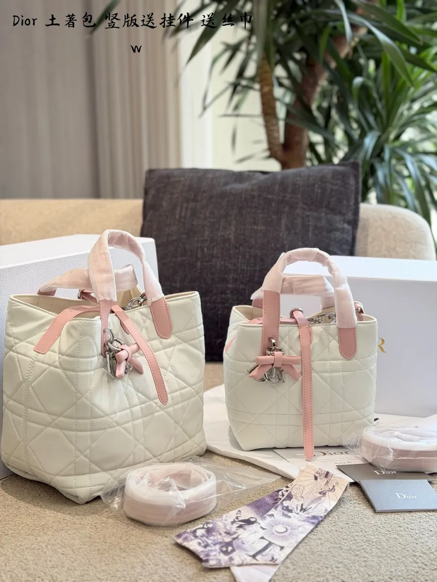 Dior Toujours Check Crossbody Bag - 20 cm — source photograph 1 of 3