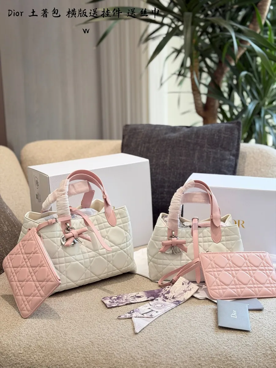 Dior Toujours Check Crossbody Bag - 25 cm Options — source photograph 1 of 3