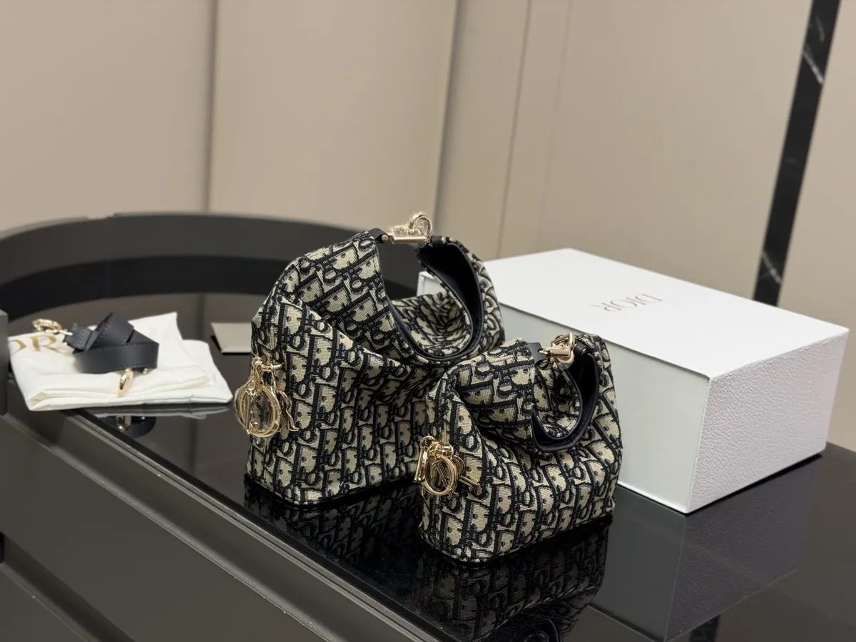 Dior Toujours Handbag - 23 cm Options — source photograph 1 of 3