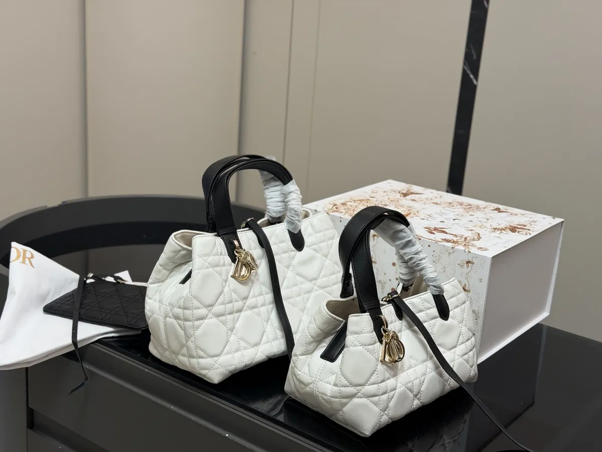 Dior Toujours Handbag - 28 × 22 cm Options — source photograph 1 of 3