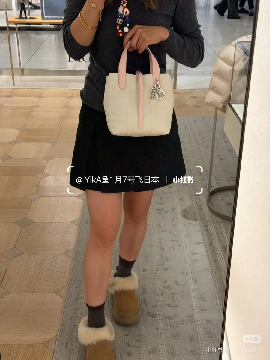 Dior Toujours Handbag — source photograph 1 of 3