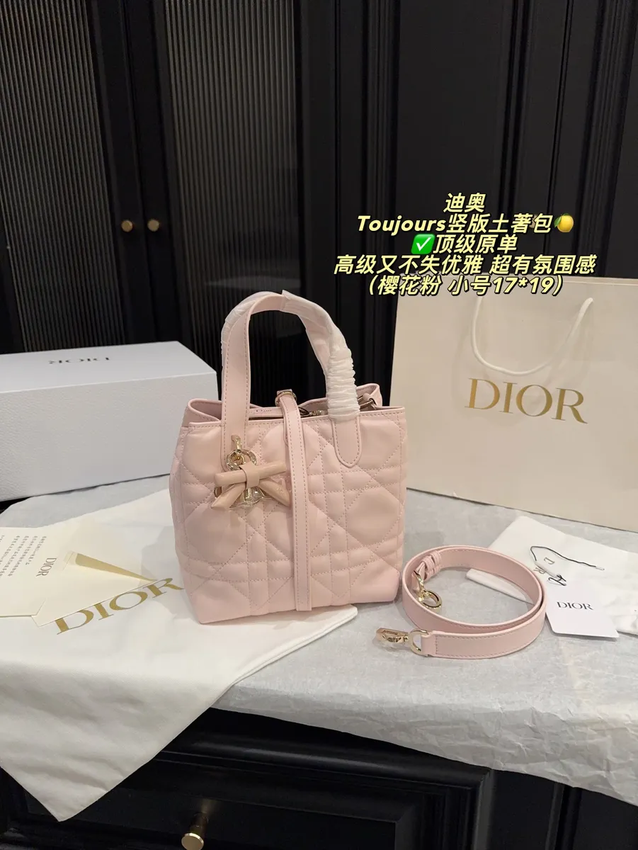 Dior Toujours Mini Bag — source photograph 1 of 3