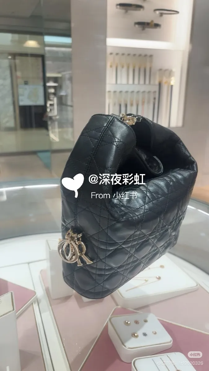 Dior Toujours Top Handle Bag — source photograph 1 of 3