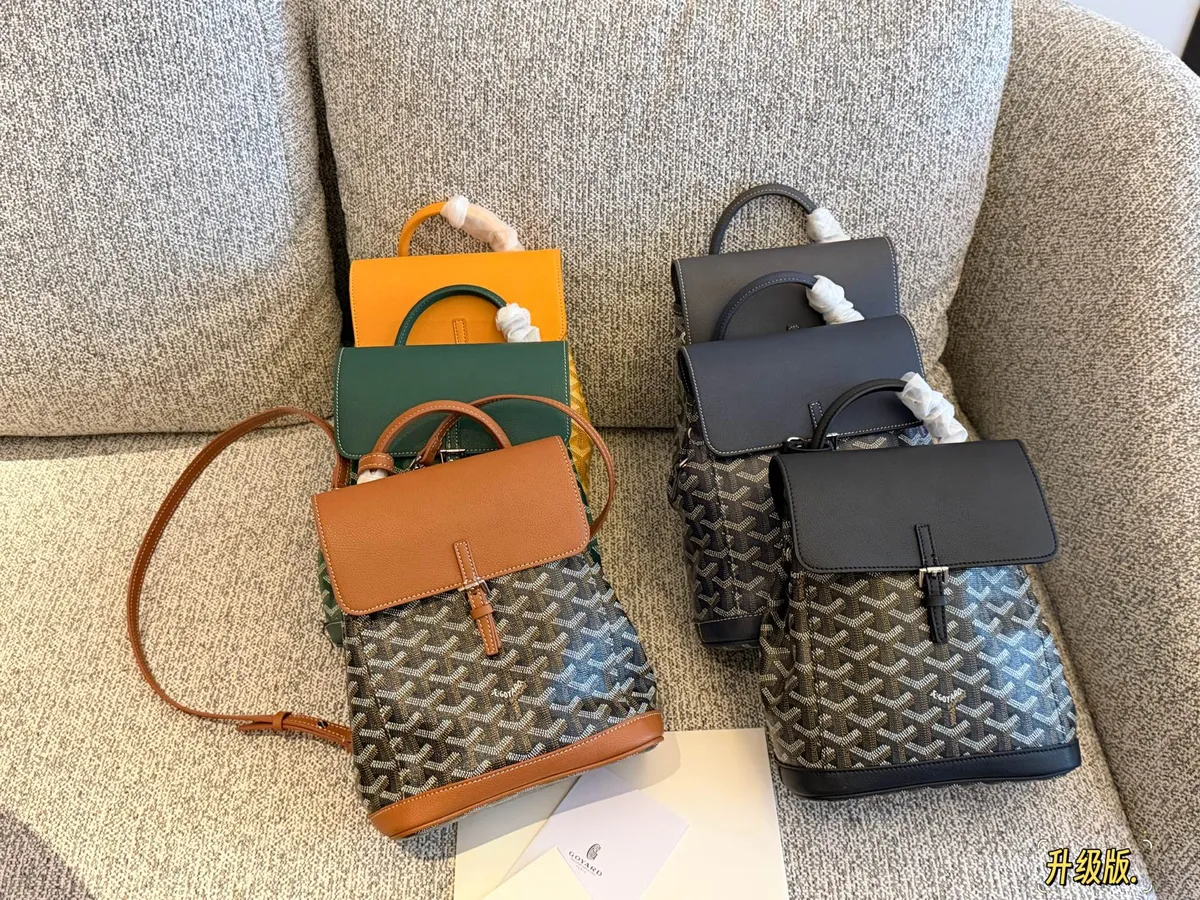 Goyard Alpin Backpack - 20 × 23 cm — source photograph 1 of 3