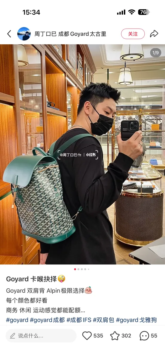 Goyard Alpin Backpack - 31 cm Options — source photograph 1 of 3