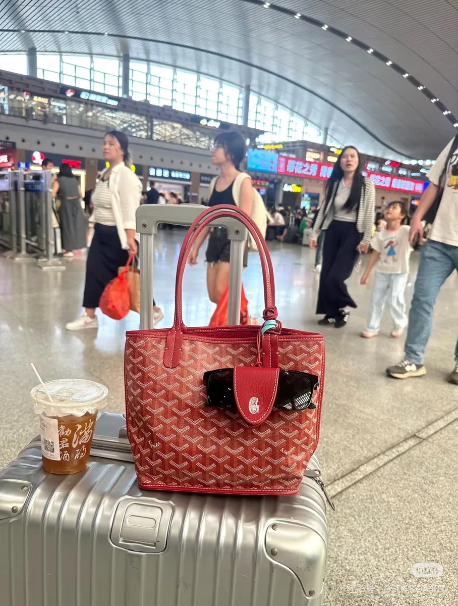 Goyard Check Canvas Tote Bag - 20 × 15 × 10 cm — source photograph 1 of 3