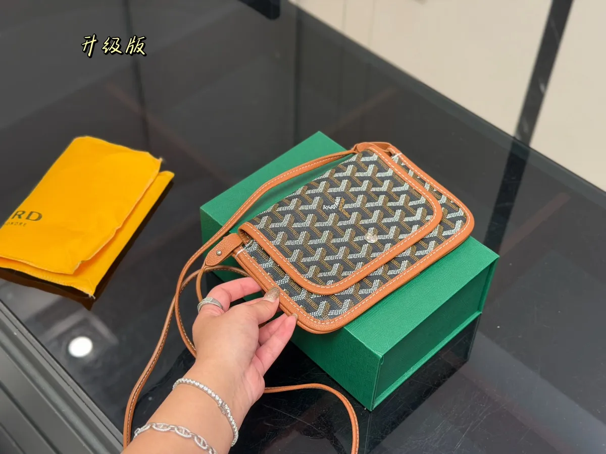 Goyard Handbag - 20 × 14 cm — source photograph 1 of 3