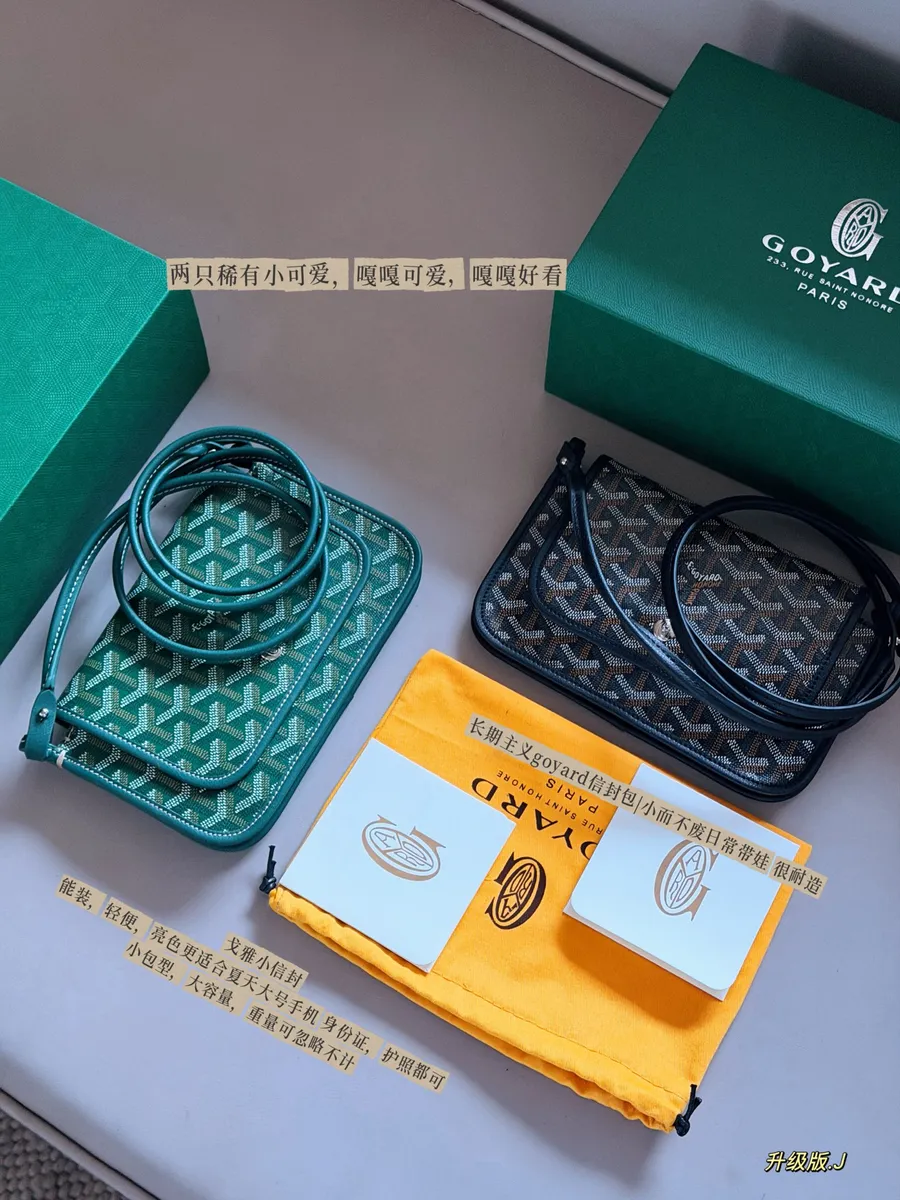 Goyard Handbag - 21 × 14 cm — source photograph 1 of 3