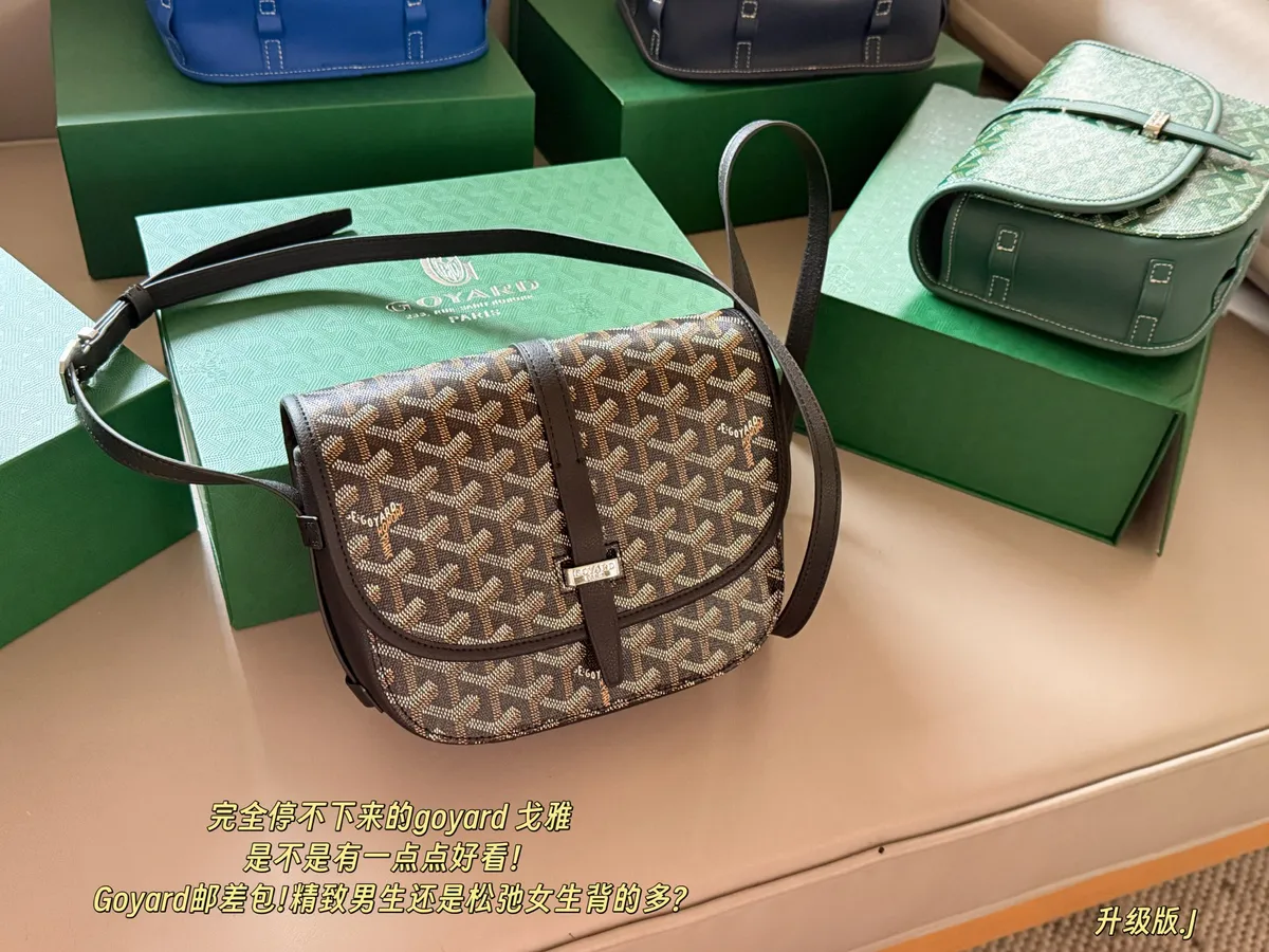 Goyard Messenger Bag - 22 × 15 cm — source photograph 1 of 3