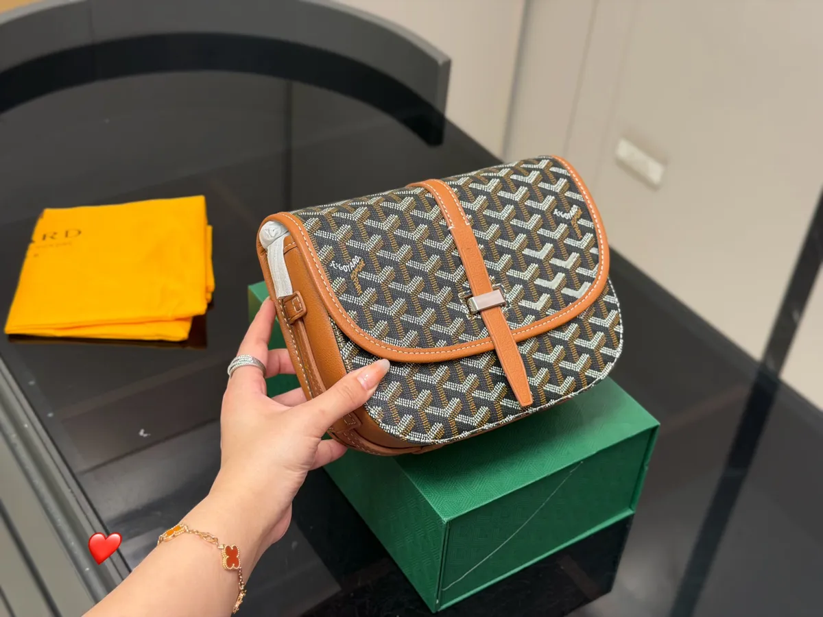 Goyard Messenger Bag - 22 × 18 cm — source photograph 1 of 3
