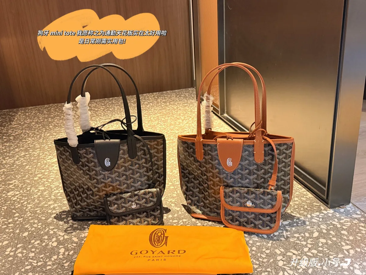 Goyard Tote Bag - 20 × 19 cm — source photograph 1 of 3