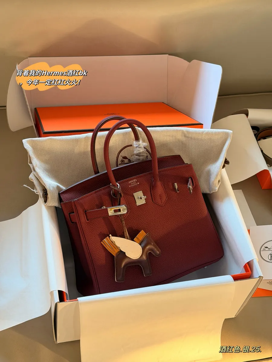 Hermès Birkin Handbag - 25 cm Options — source photograph 1 of 3