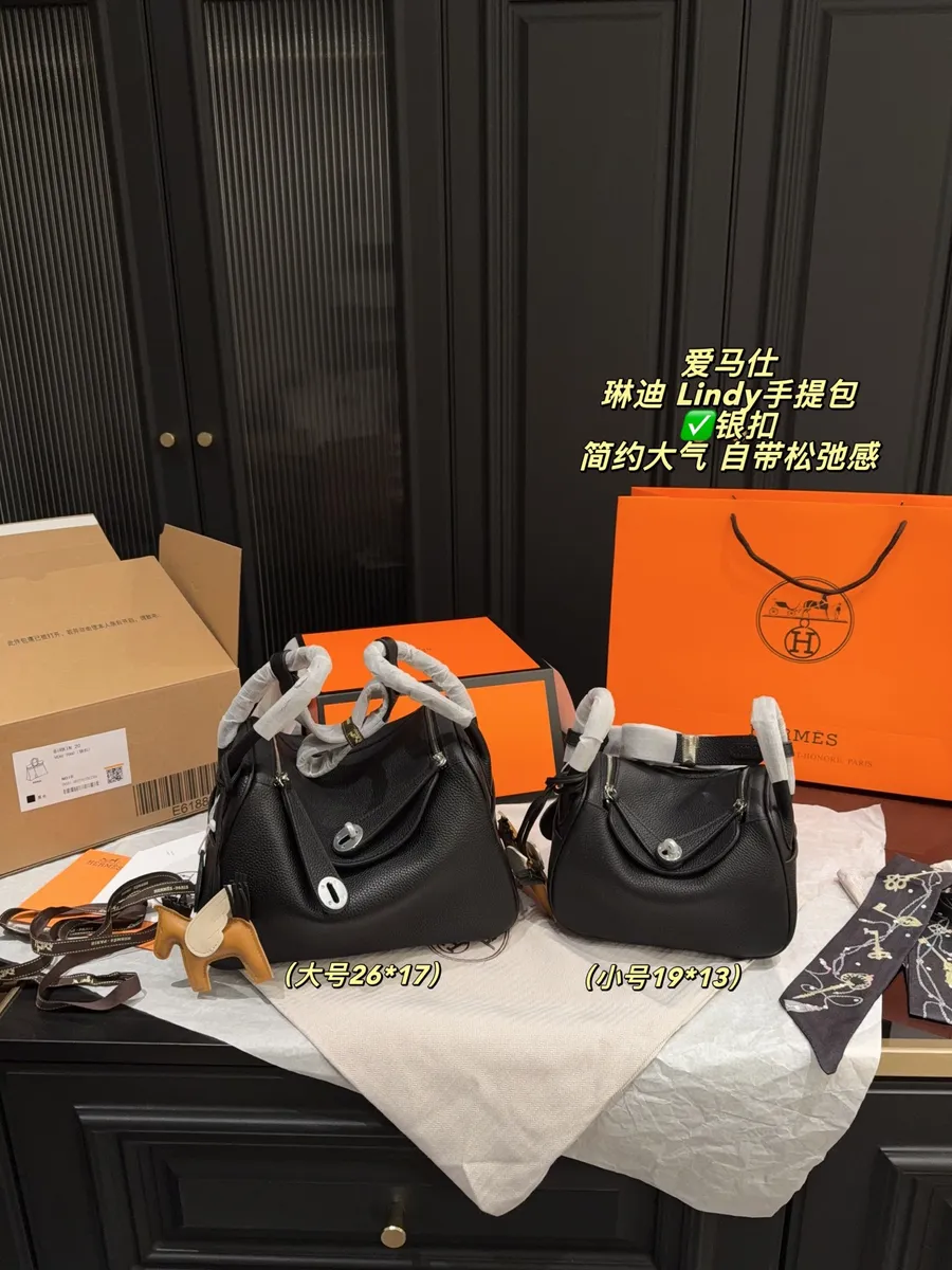 Hermès Lindy Top Handle Bag — source photograph 1 of 3