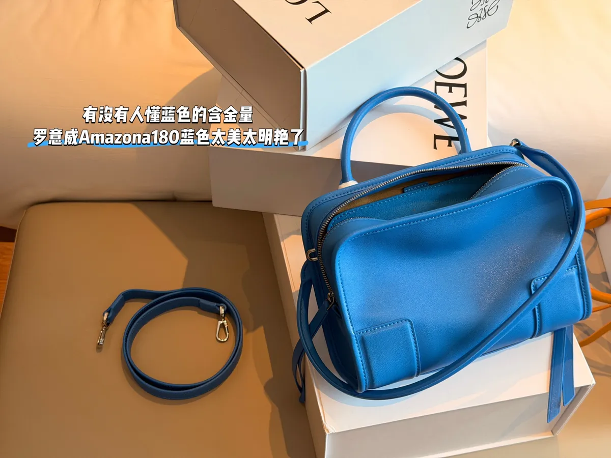 Loewe Amazona Handbag - 24.5 × 17 cm — source photograph 1 of 3