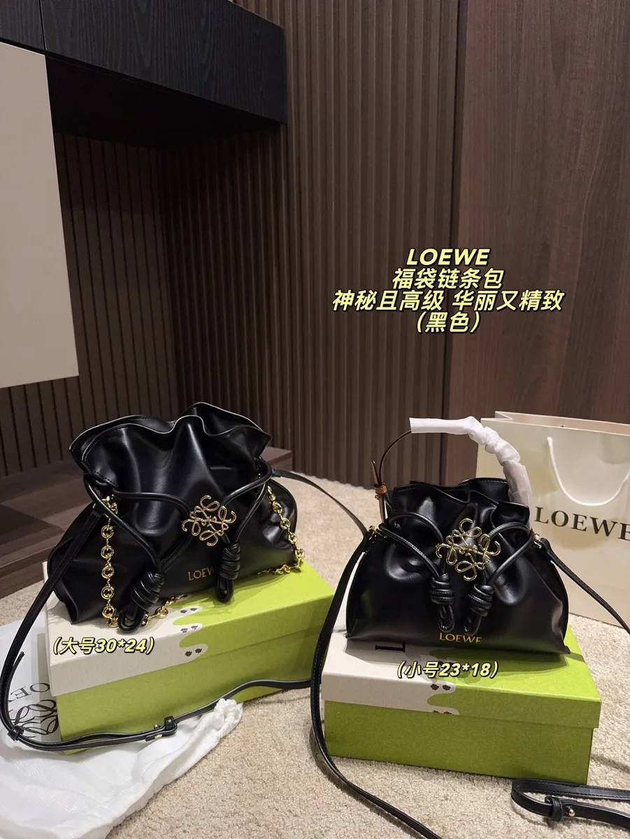 Loewe Chain Mini Bag — source photograph 1 of 3