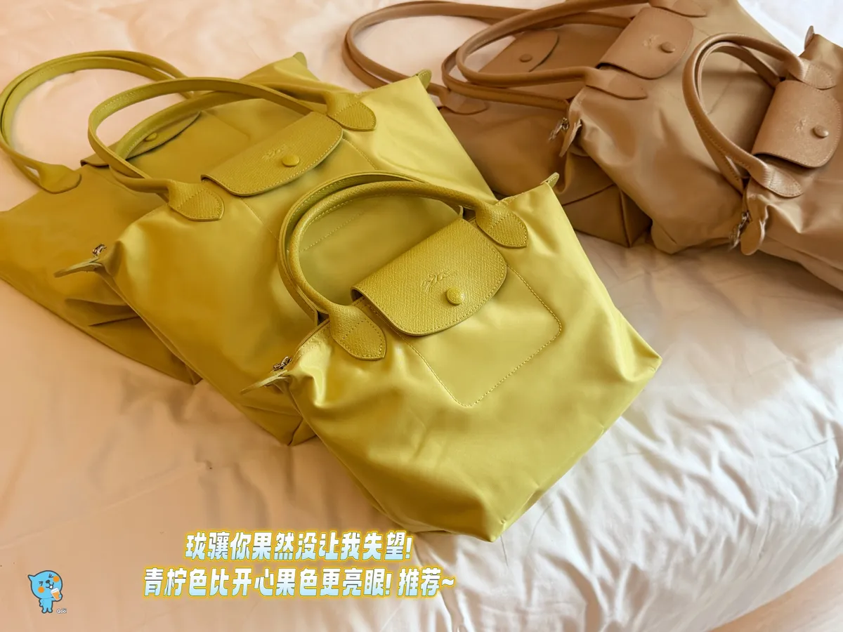 Longchamp Nylon Satchel Bag — source photograph 1 of 3