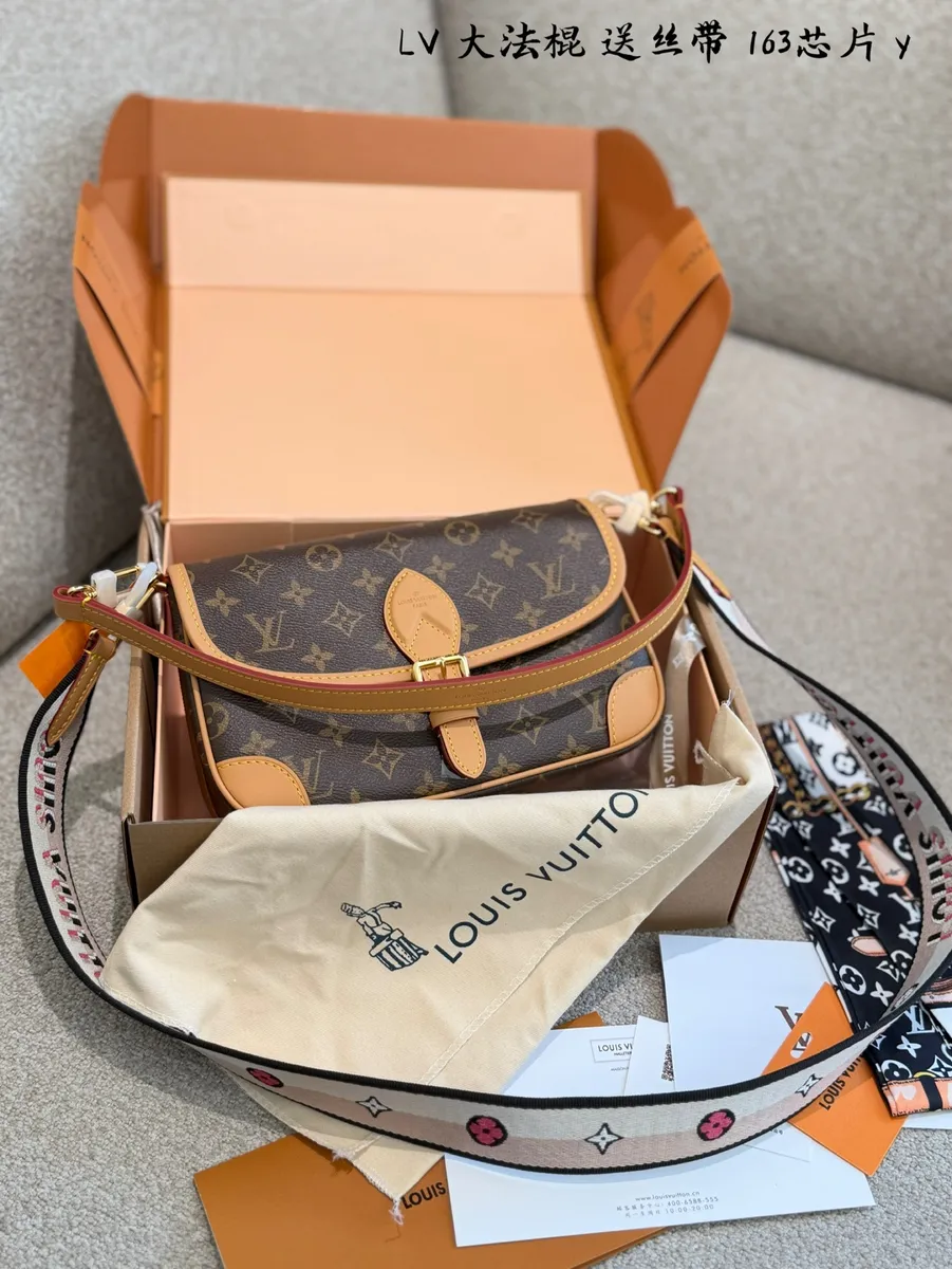 Louis Vuitton Diane Canvas Monogram Shoulder Bag - 24 × 15 × 9 cm — source photograph 1 of 3