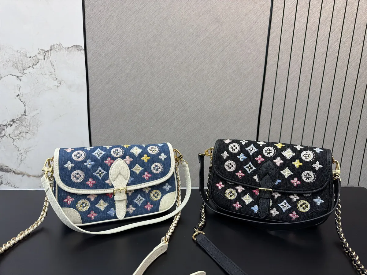 Louis Vuitton Diane Crossbody Bag - 24 × 15 cm — source photograph 1 of 3