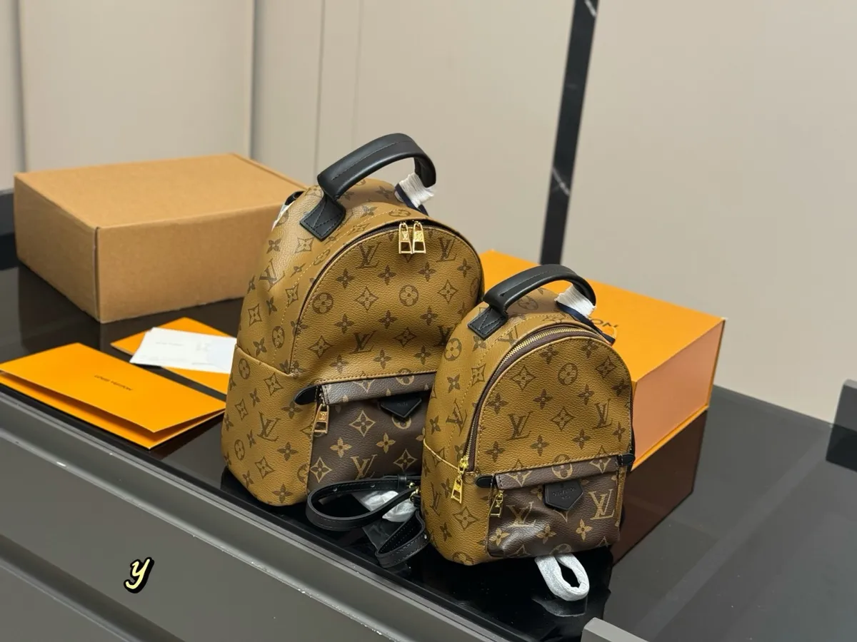 Louis Vuitton Palm Springs Backpack - 23 × 27 cm Options — source photograph 1 of 3