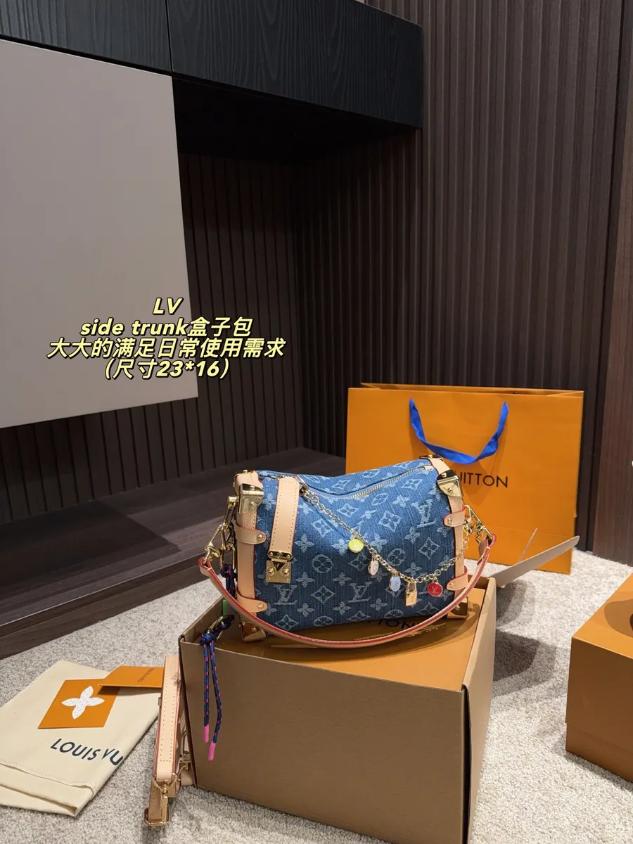 Louis Vuitton Side Trunk Handbag — source photograph 1 of 3