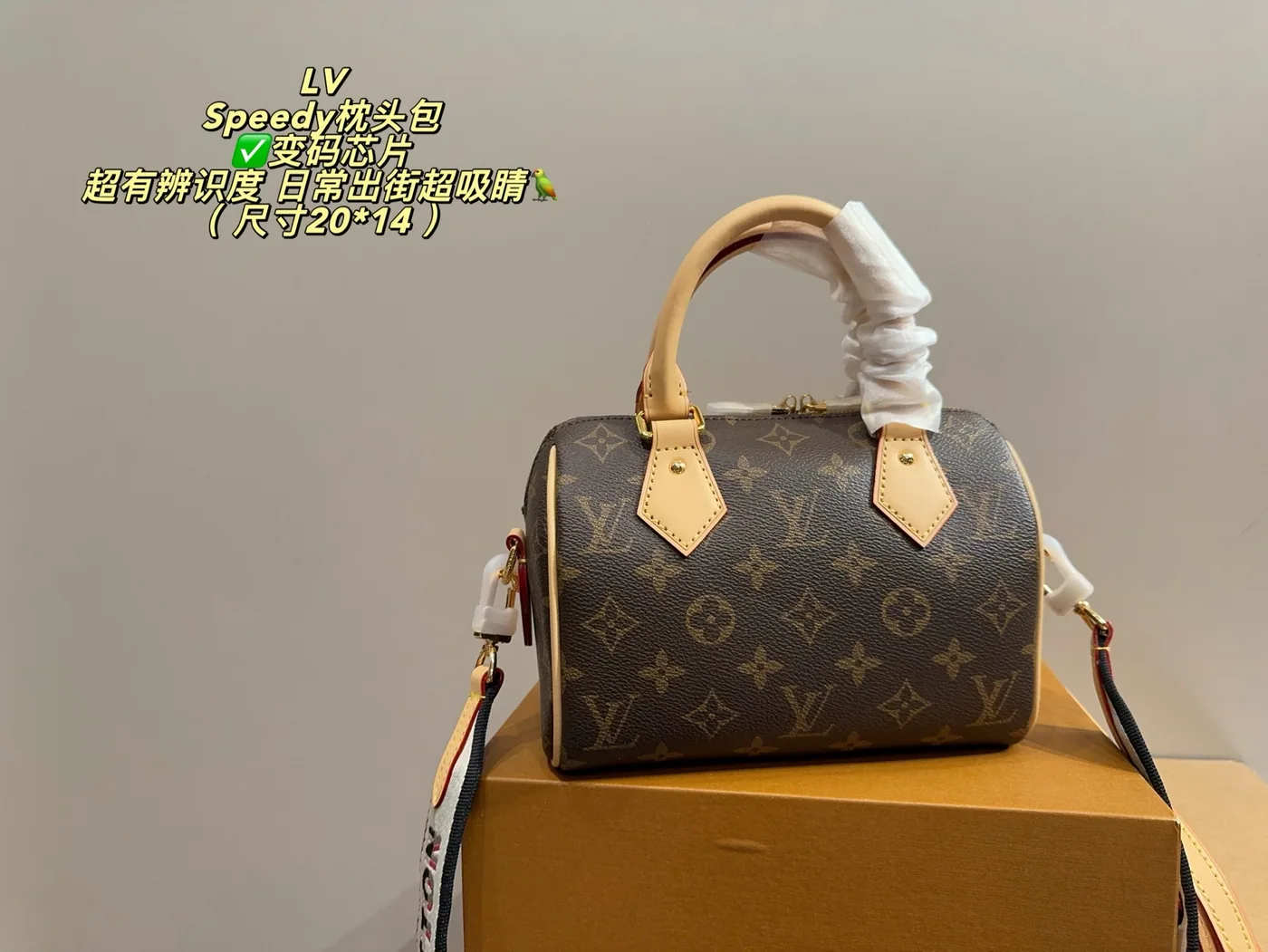 Louis Vuitton Speedy 20 Monogram Satchel, brown — full satchel