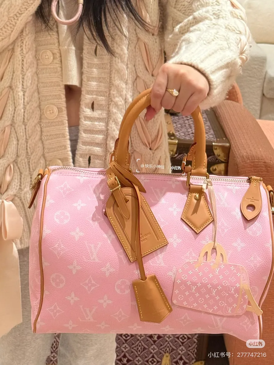 Louis Vuitton Speedy Chain Handbag — source photograph 1 of 3