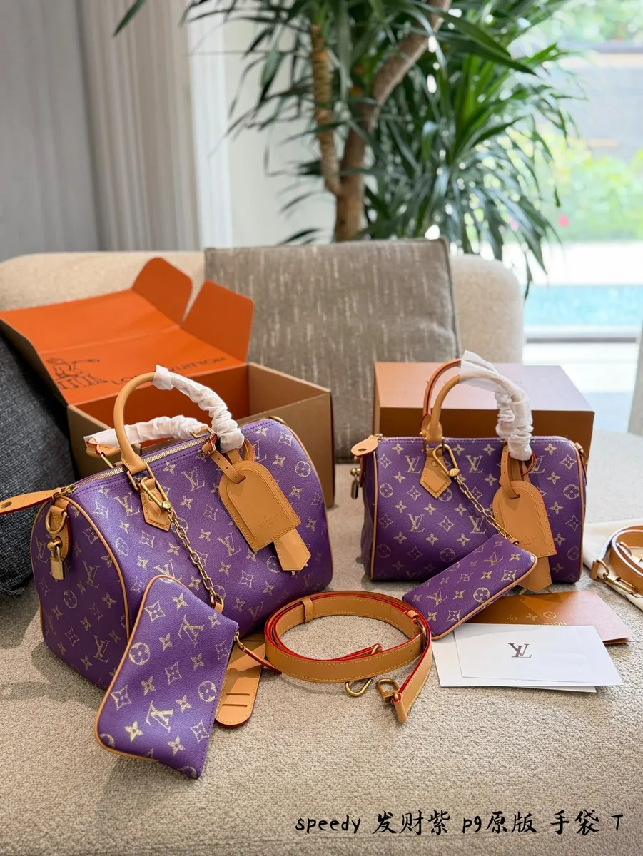 Louis Vuitton Speedy Embroidered Monogram Satchel Bag - 25 cm Options — source photograph 1 of 3