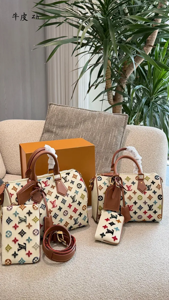 Louis Vuitton Speedy Embroidered Plush Satchel Bag — source photograph 1 of 3
