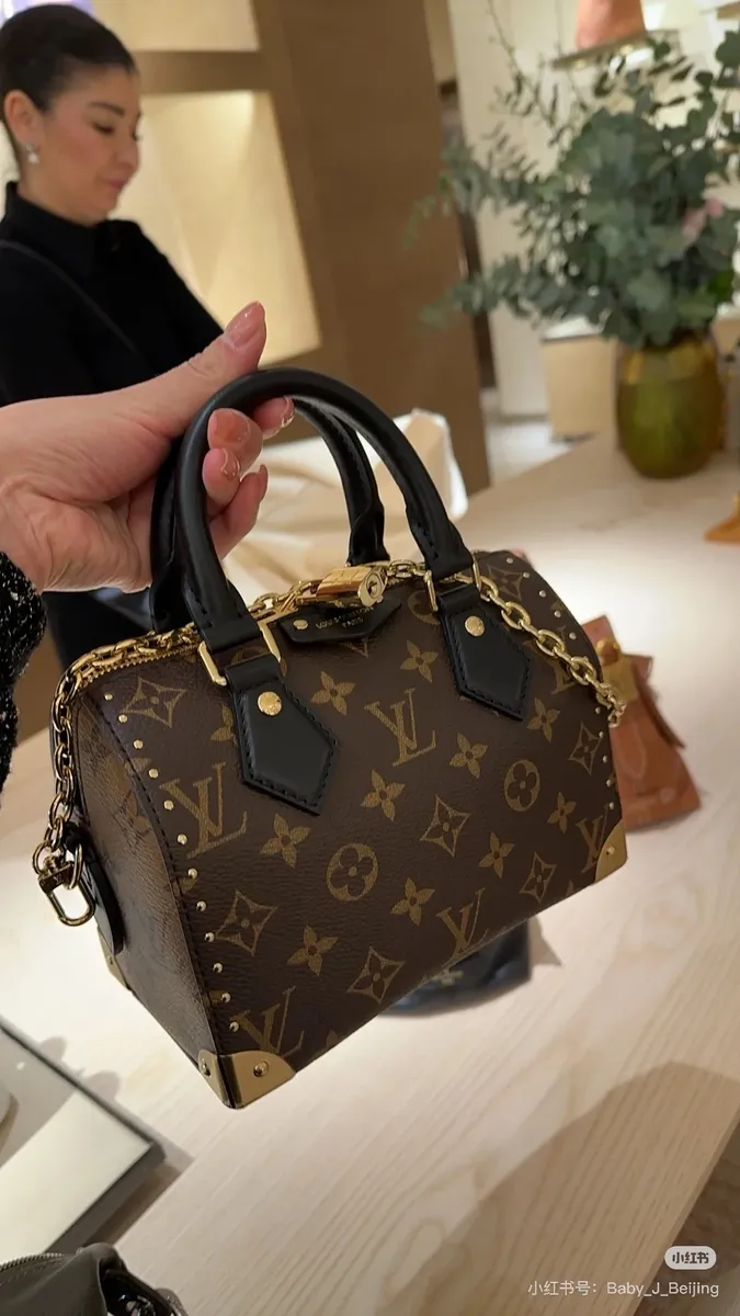 Louis Vuitton Speedy Monogram Chain Satchel Bag — source photograph 1 of 3