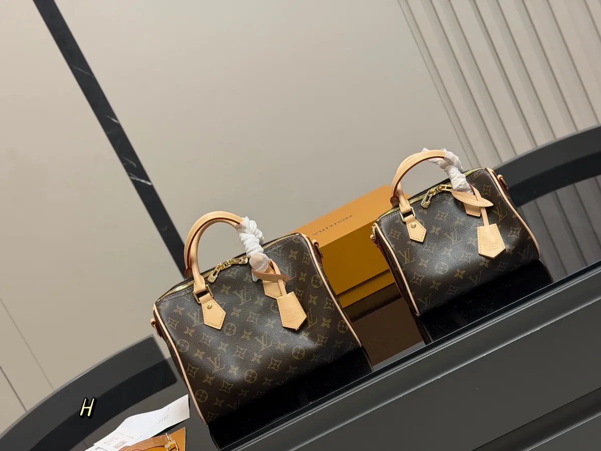 Louis Vuitton Speedy Satchel Bag - 20 cm Options — source photograph 1 of 3