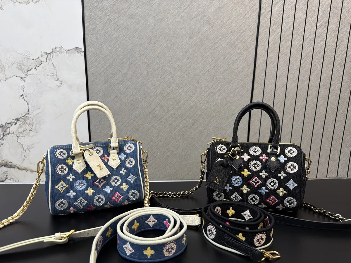 Louis Vuitton Speedy Satchel Bag - 20 cm — source photograph 1 of 3